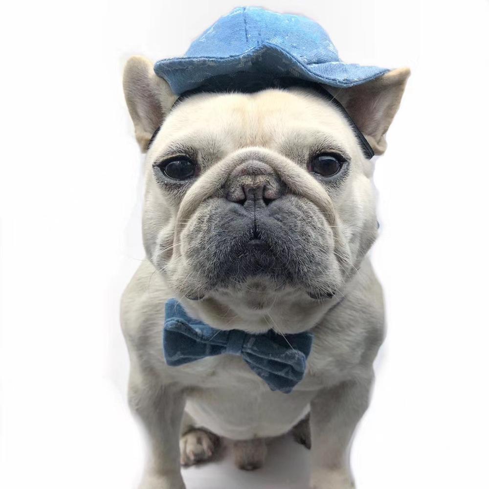 Animaux de compagnie chien casquettes petit chiot animaux été impression casquette chien Baseball visière chapeau accessoires de plein air soleil Bonnet casquette Chihuahua C101