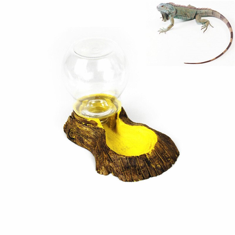 Reptile Water Dish Food Tray Bowl Pool Amphibians Tortoise Snake Lizard