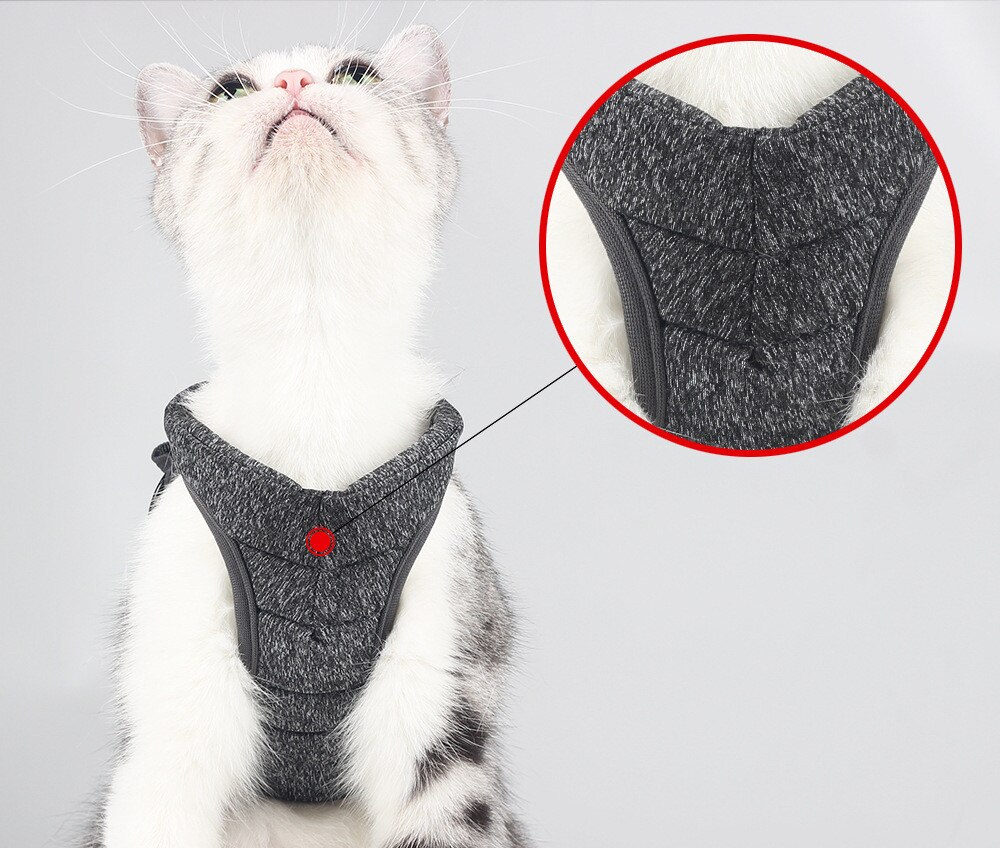 Conjunto de Correa y arnés ajustable para perros y gatos, arneses antiescape para mascotas, chaleco transpirable suave para gatos, suministros de correa para pecho para caminar al aire libre