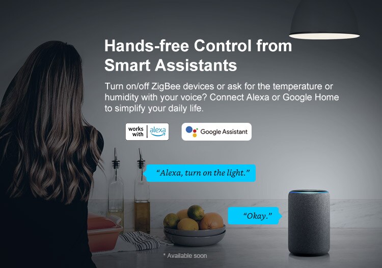 SONOFF-Puente inteligente Itead ZBBridge Zigbee, control remoto, dispositivos Wi-Fi en la aplicación eWeLink, funciona con Alexa y Google Home