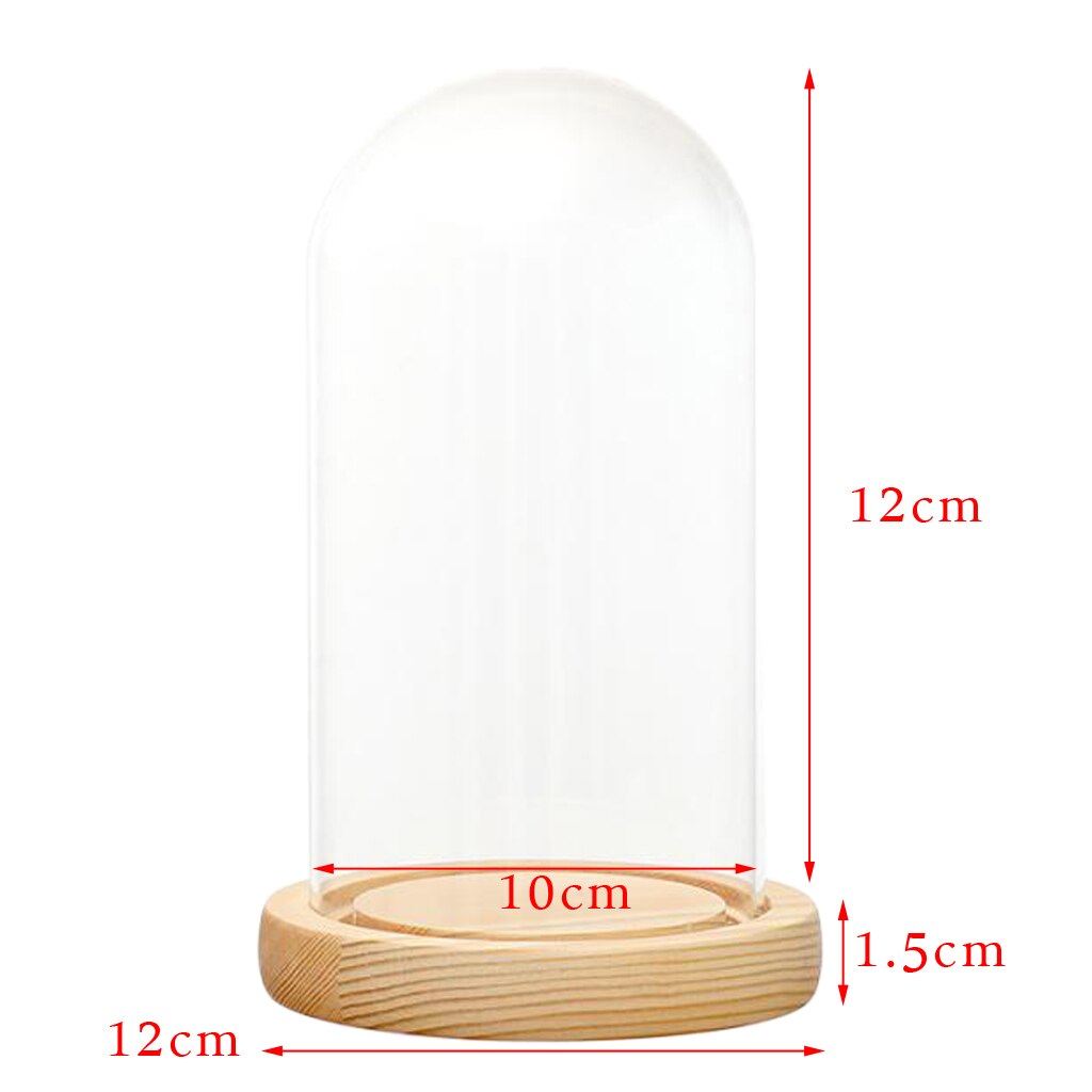 Glass Display Dome + LED Wooden Base, Decorative Clear Glass Cloche Bell Jars Display Dome for Decor: B 10x12cm