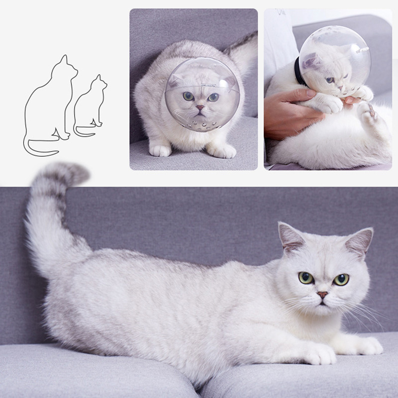 Cubierta de aseo para gatos con Bola Espacial transpirable, máscara de bozal para gatos, gatito, recorte de uñas, baño, sombrero de seguridad antimordedura, suministros