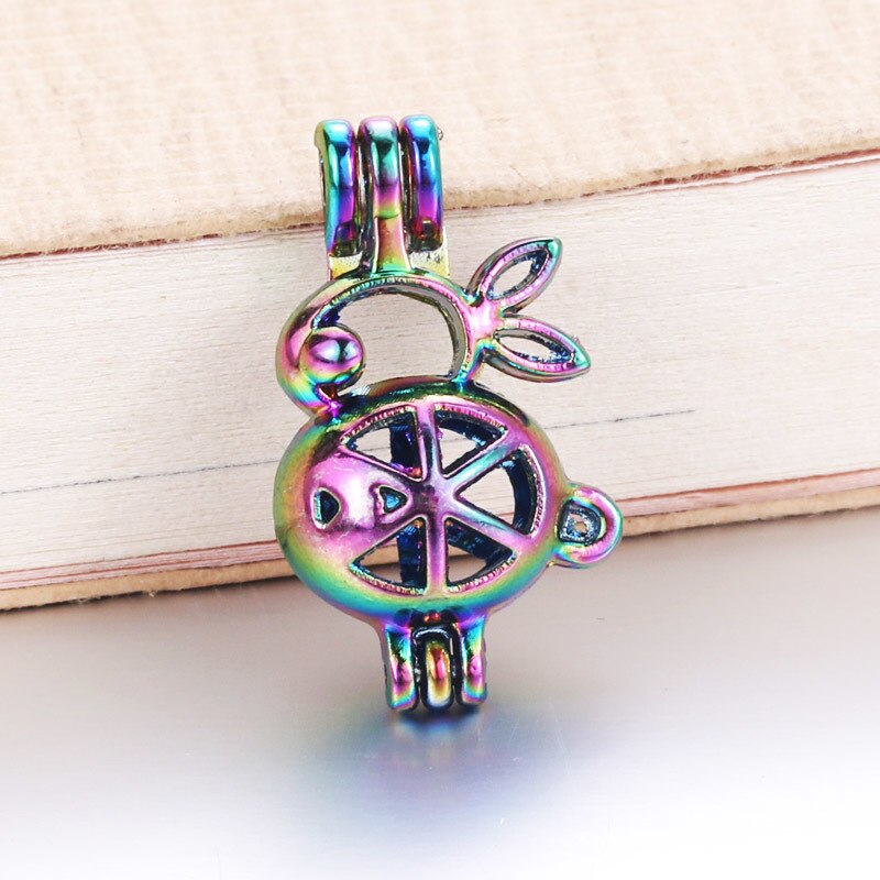 6pcs/lot 16 styles Rainbow Color Pearl Cage Bead Cage Essential Oil Diffuser Locket Pendant DIY Jewelry Making for Oyster Pearl: 040303