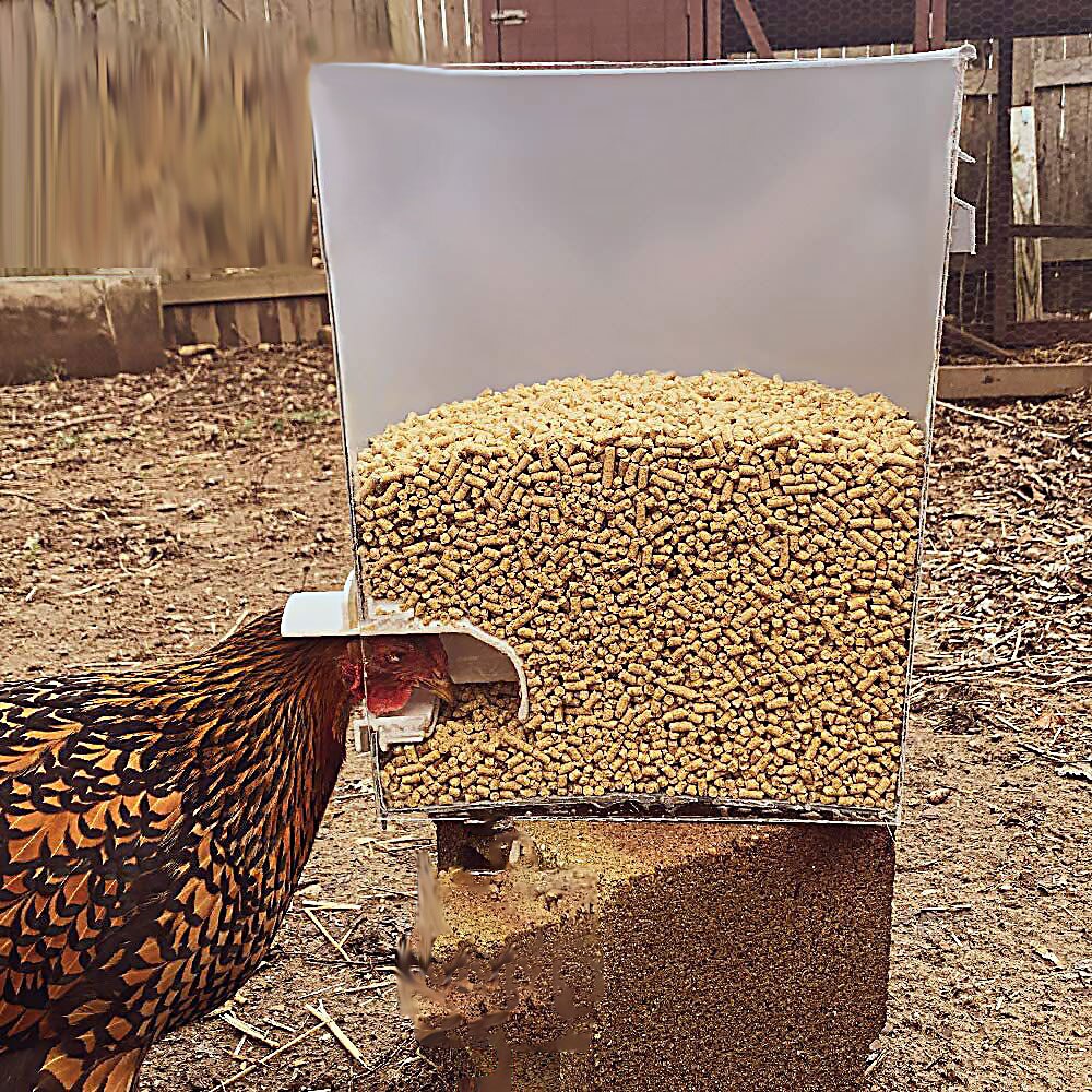 Chicken Feeder DIY Rain Proof Poultry Feeder Port Gravity Feed Kit For Buckets Barrels Drums Buckets Troughs