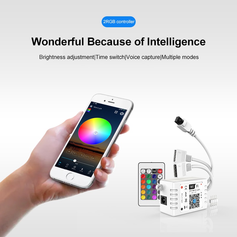 Wifi Intelligent Controller Colorful 24 Key Dual Load RGB Light With Controller ALexa Voice Smart Home Automation Module
