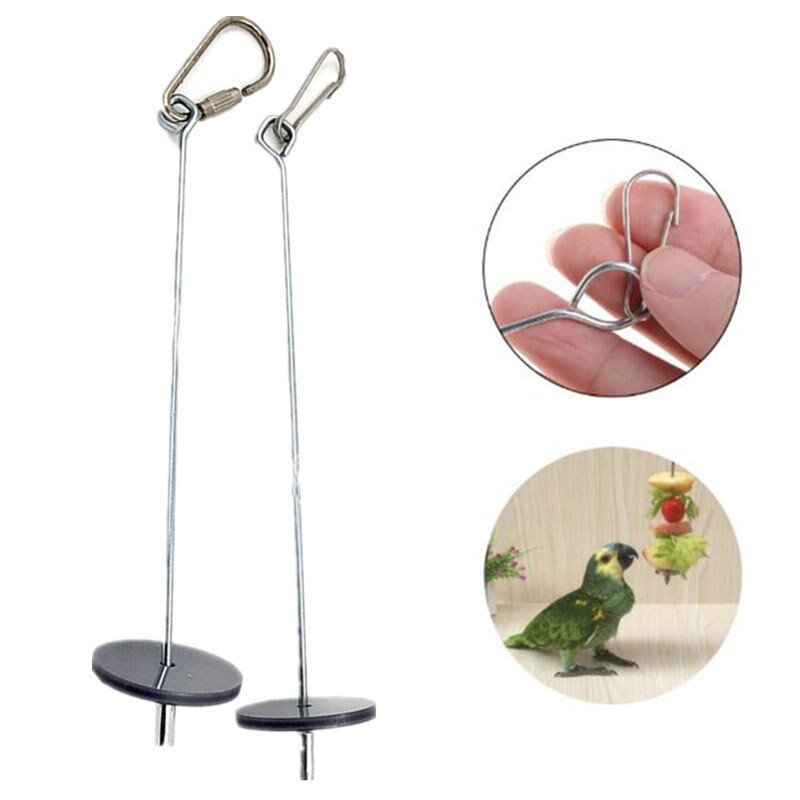 Support de nourriture pour perroquets, oiseaux, Support en acier inoxydable, bâton de lance de fruits, viande, brochette de fruits et légumes, crochet de fourchette à fruits