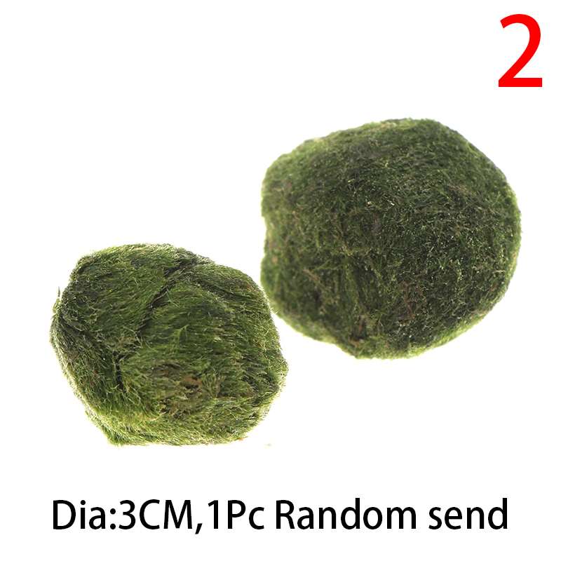 Moss Stone Lifelike Vivid Moss Balls Decorative Balls for Glass Jar Terrarium Aquariums Landscaping Plant Fish Tank Decor: 2