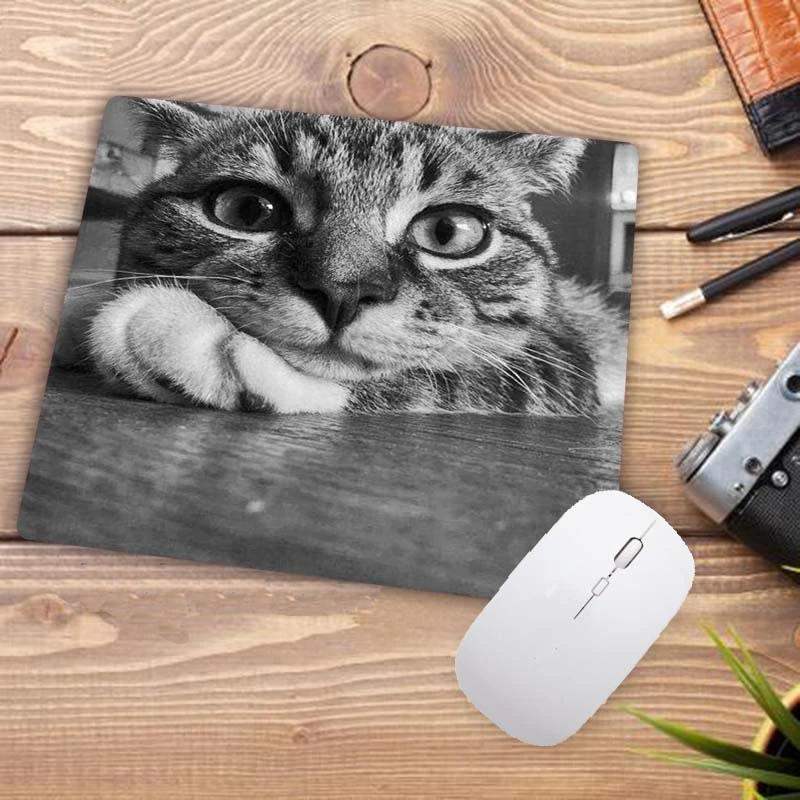 Wielka promocja 22X18CM Cartoon Cute Cat Head Cool Designs HD Table Mouse Pad Laptop Computer Gaming Keyboard Mousepad Animal Mat: XXS / orange