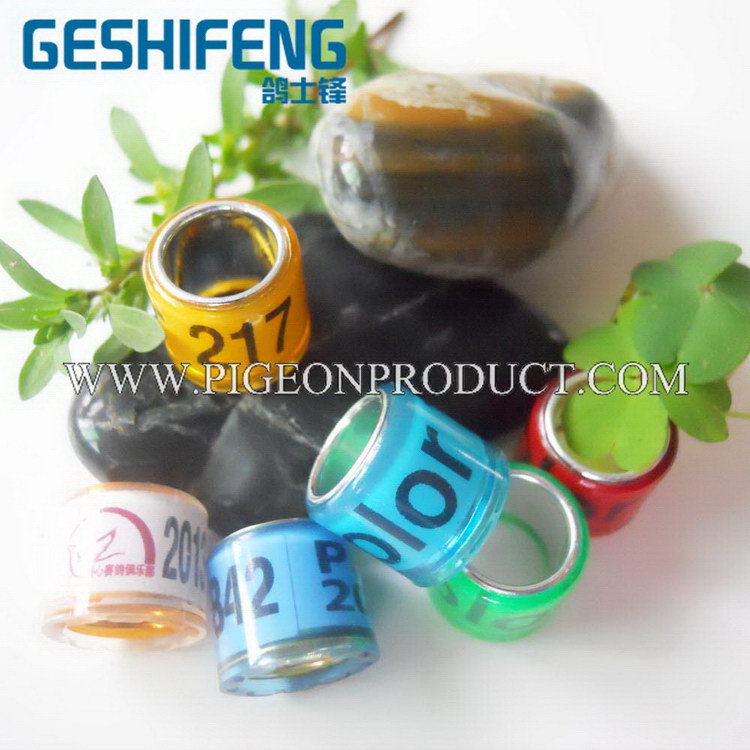 High let' pet 100pcs racing pigeon rings