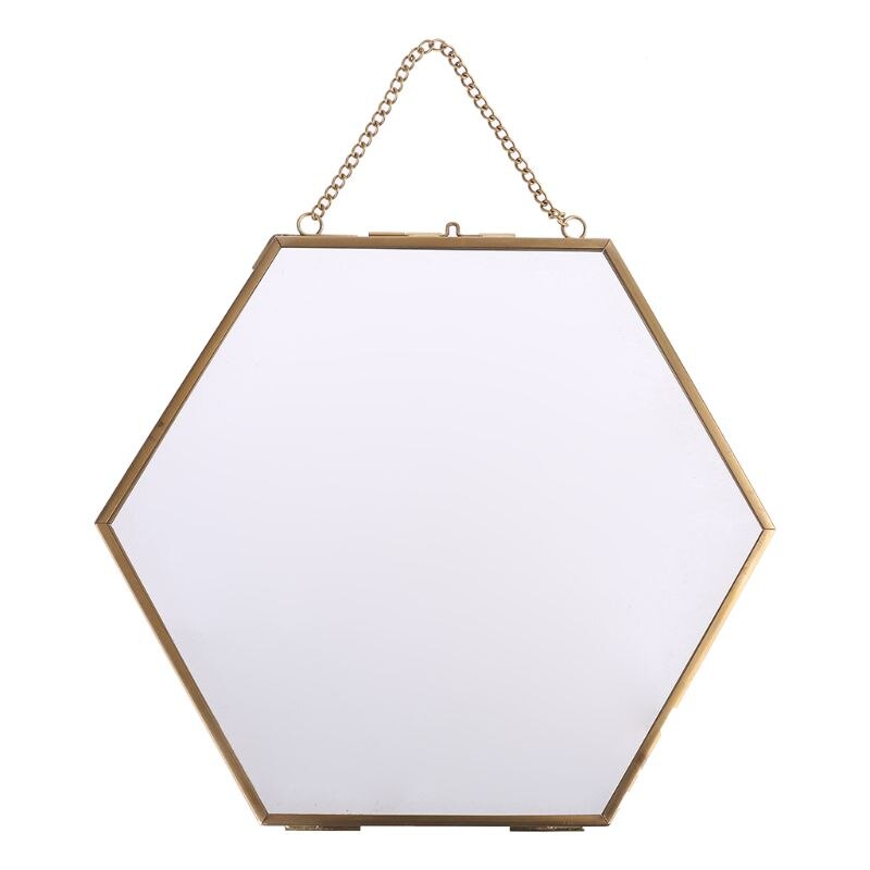 Hexagone flottant suspendu cadre Photo métal verre Portrait Photo plante spécimen 449C