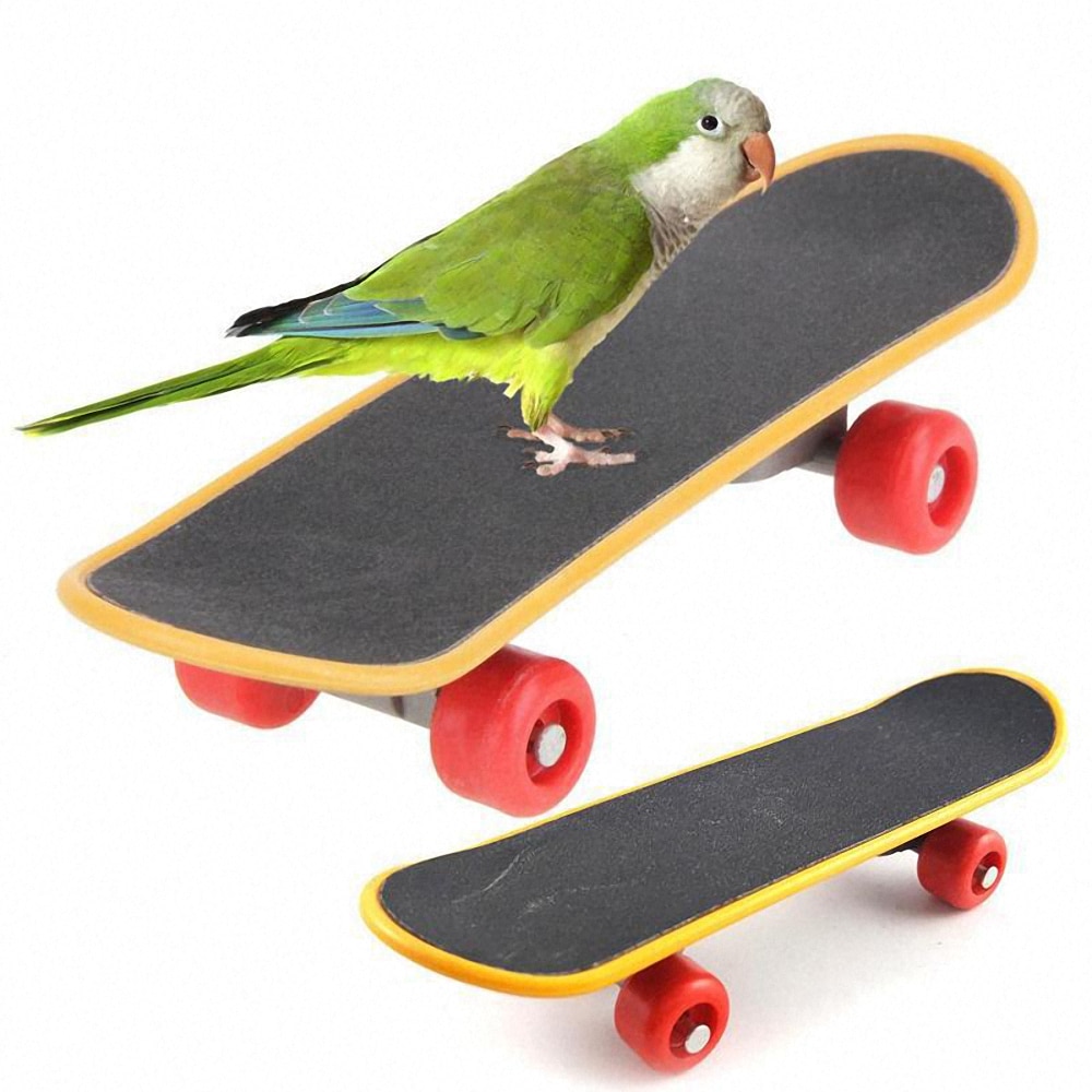 Huisdier Vogel Speelgoed Papegaai Parkiet Mini Skateboard Stand Baars Speelgoed Vogel Sport Training Speelgoed Grappig Intelligentie Speelgoed Vogel Benodigdheden