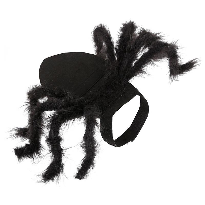 Husdjur Hund Halloween Spindeldräkt - Liten Hund & Kattunge Cosplay Väst för Fest Rollspel Utklädnad: S
