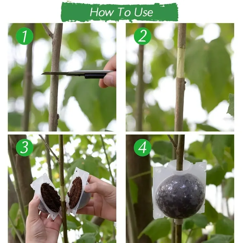 5/20PCS Planten Wroeten Bal Hoge Druk Graft Fokken Case Plastic Kwekerij Doos Voortplanting Plant Wortel Potten tuin Accessoires