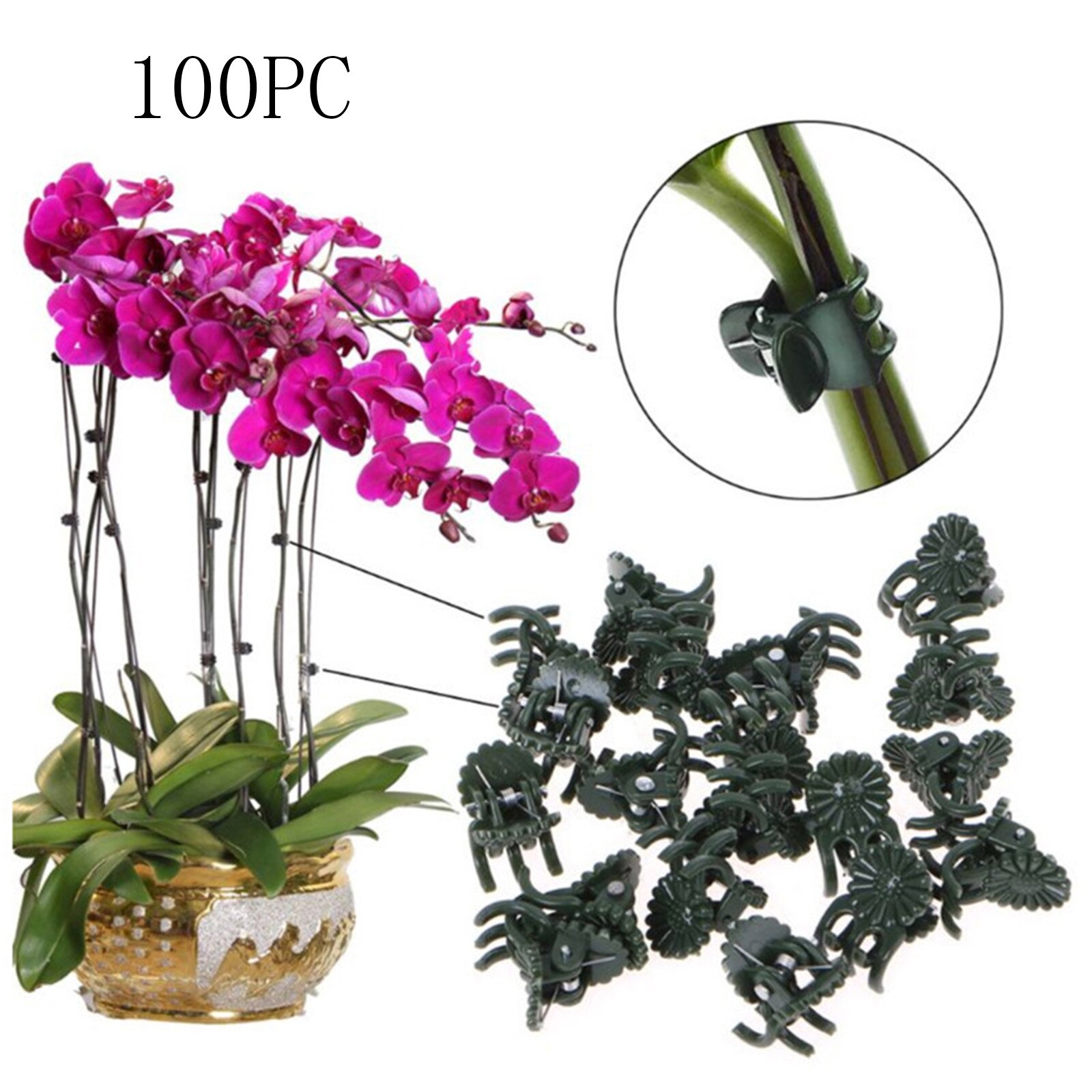 100Pc Plastic Tuin Plant Klemmen Wijnstok Bevestiging Klemmen Tuin Enten Clip # N20