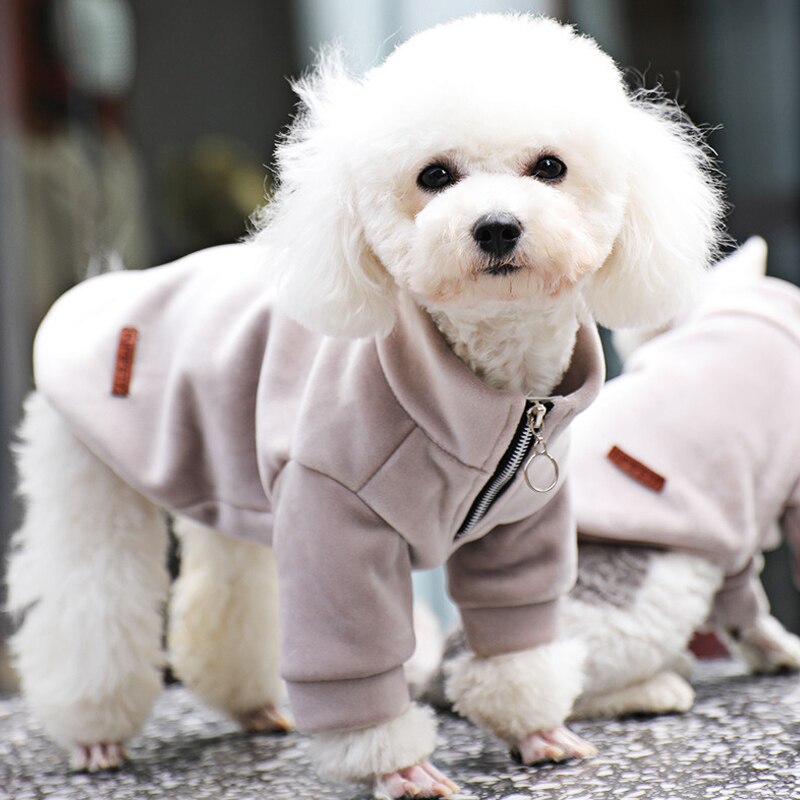 Ropa de invierno para mascotas, abrigo cálido para gato, chaqueta para perro Bulldog francés, chaleco suave para perros pequeños, medianos y grandes, traje Beige para gato