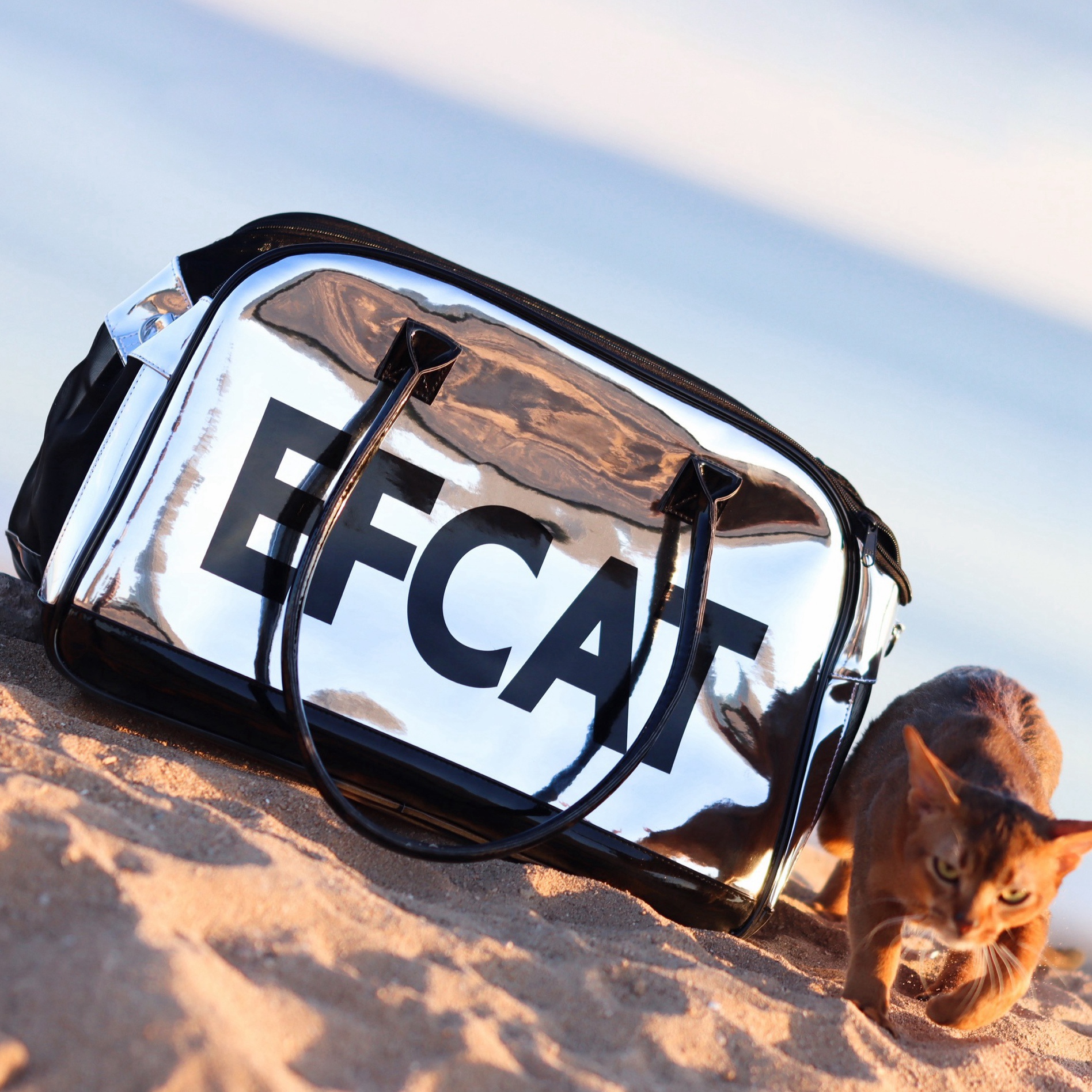 Grote Hond Kat Draagtas Mode Zilveren Tas Vervoer Carrying Voor Puppy Kitty: Metallic Silver