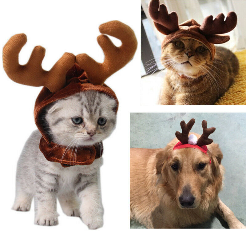 FAROOT 1PCS Pet Kat Hond Puppy Dier Kerst Hoed Rendier Kostuum Cap Hoofdband Creatieve Kerst Hoeden