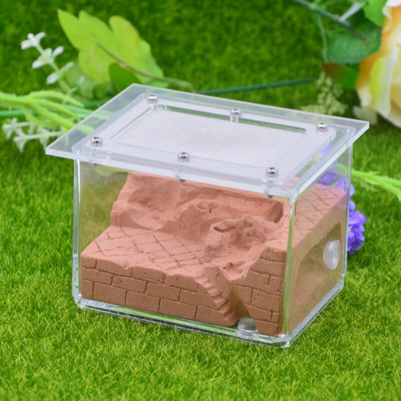 Concrete Ant Nest Acrylic Ant Farm Workshop Flat Nest Gypsum Landscaping Ant Nest 9x9x7cm: Color-C