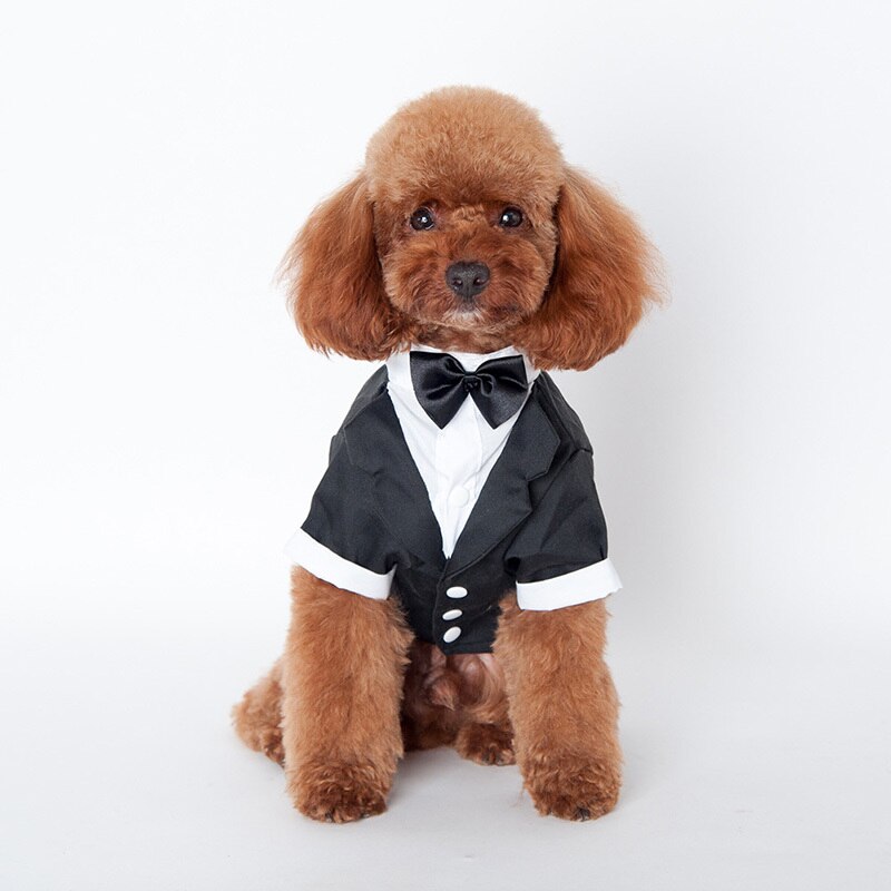 Ropa para perro y gato Prince traje de boda esmoquin pajarita cachorro abrigo 5 tamaños para perro pequeño grande