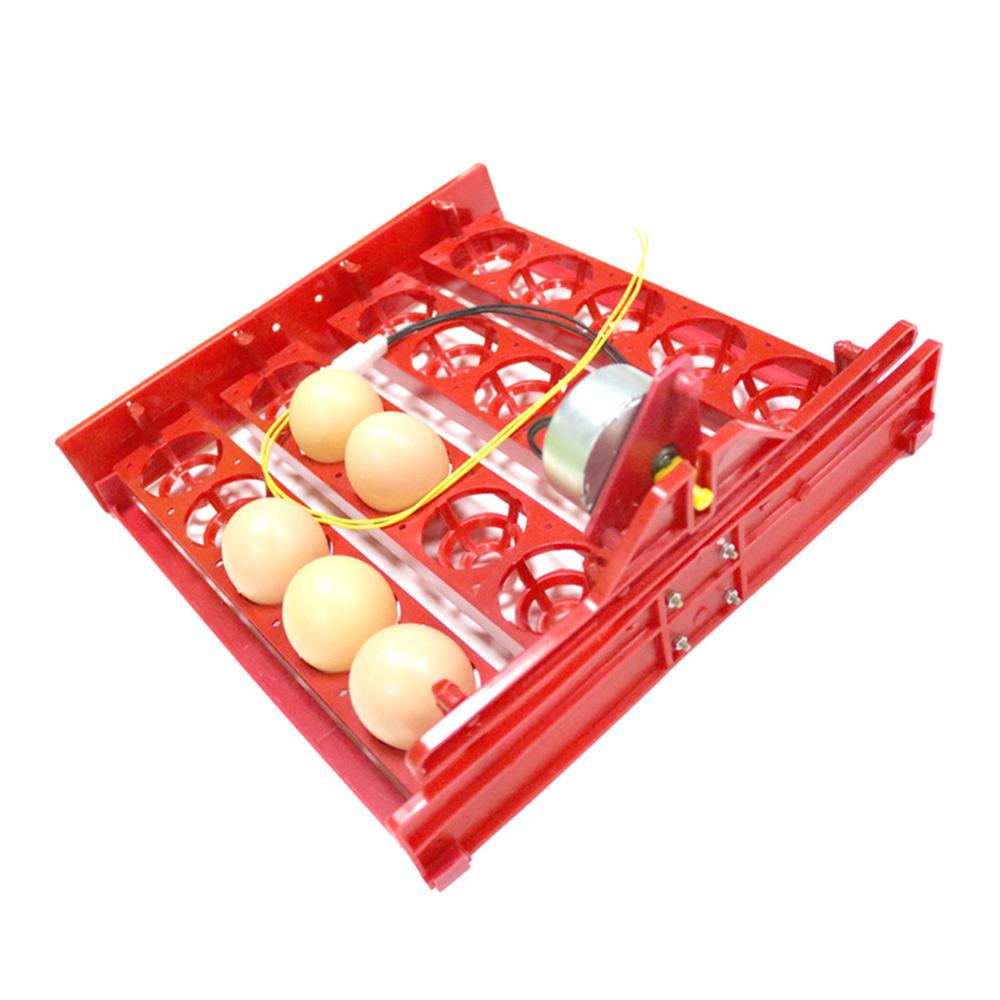 Incubadora de 20 huevos, bandeja giratoria para huevos, pollo, pájaro, pato, ganso, paloma, codorniz, incubadora automática, equipo incubadora de aves de corral y animales de granja