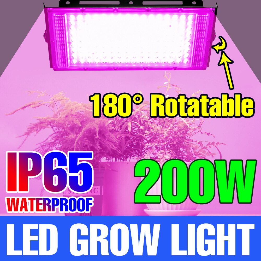 Phyto Lamp Voor Planten Licht Groeien Lamp 200W Phytolamp Led Volledige Spectrum Schijnwerper Kas Verlichting Hydrocultuur Plant Tent Lamp