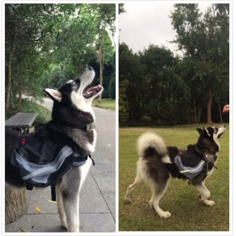 Hund Sattel Rucksack Reflektierende Tasche Sicherheit bei Nacht Mittel groß groß Hund Pack Tasche draussen Wandern Camping Ausbildung Haustier Träger TC