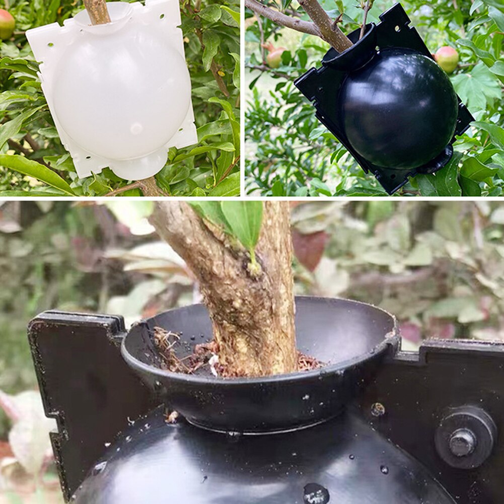 Dispositivo de estratificación de aire de 5 piezas, caja de enraizamiento de plantas de alta presión, injerto, Bola de crecimiento de cría, crecimiento de árboles jóvenes de jardín
