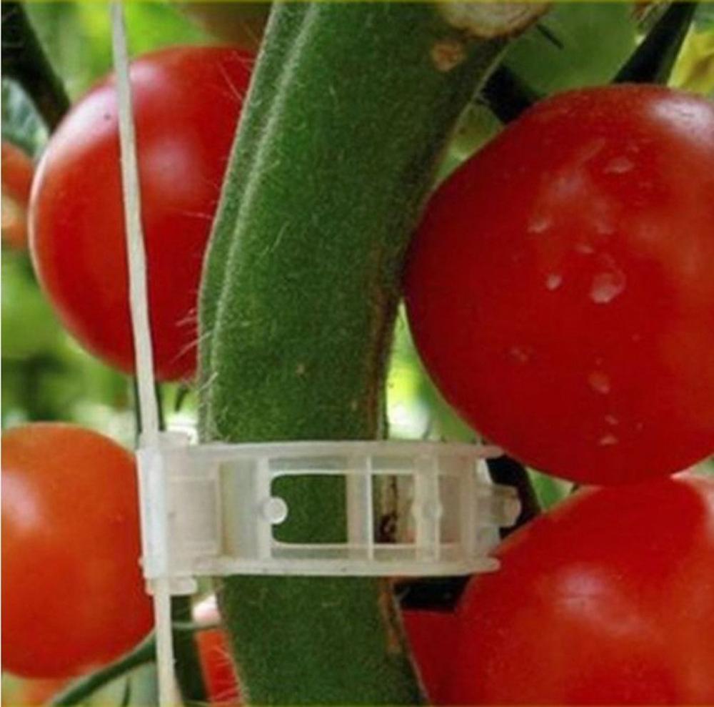 50/100/200 stk 25mm 32mm grøntsager tomater klip plast plante støtte klip klemmer til planter hængende vin have drivhus
