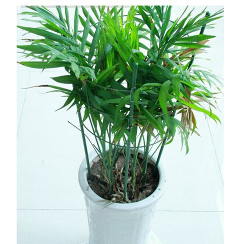 45 Cm Bloem Planten Clematis Klimmen Rack Ondersteuning Plank Huis Tuin Groene Landbouw Plant Grow