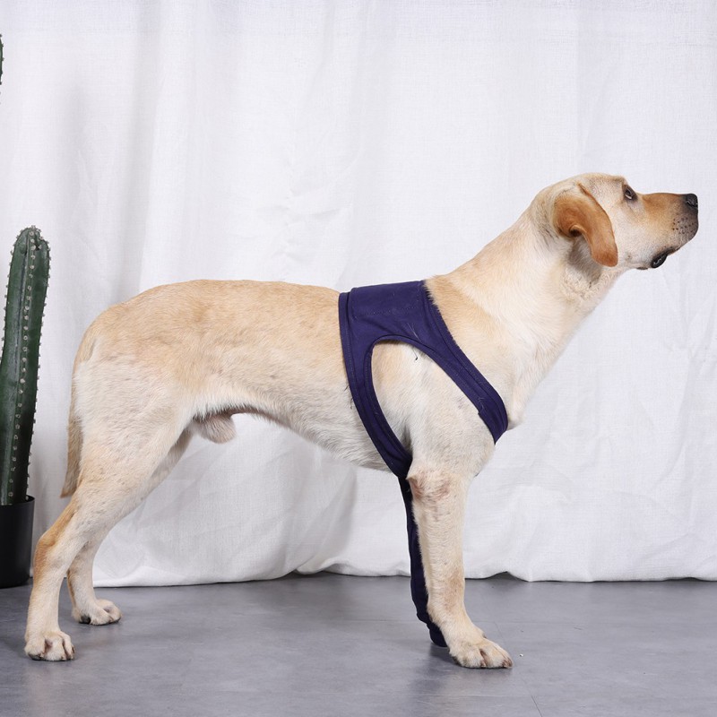 Pet Dog Support Brace for Front Leg Dog Anti-licking Protector Sleeve Hock Joint Wrap Breathable Injury Recover Legs Pad, 8Sizes