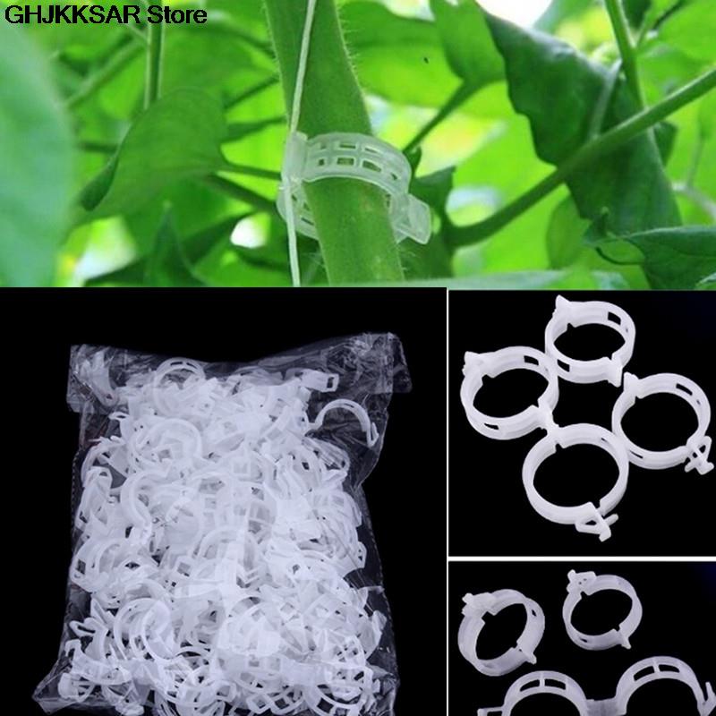 100 stk plast plantestøtte klips klemmer til planter hængende vin have drivhus grøntsager tomat klips