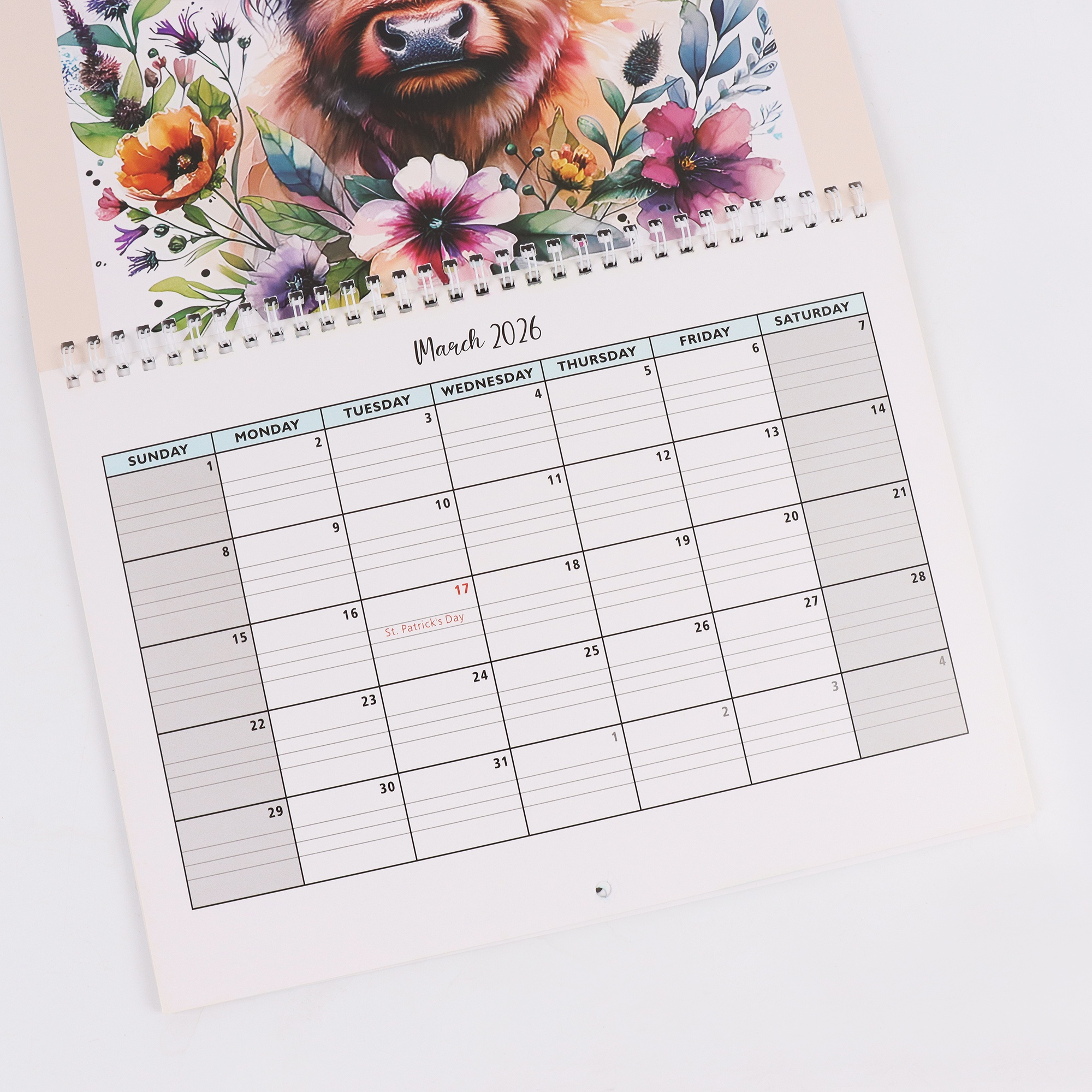 Highland Cow Wall Calendar - Scottish Cattle Daily Planner, Yearly Schedule & Month Notebook for Home Office Decor