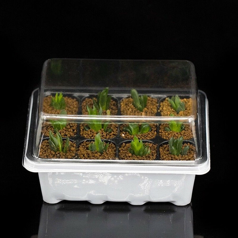 Succulent Plantings Propagation Germination Tool 12 Grids Seed Starter Kit Starting Flower Pots Plant Nursery Propagation Tray