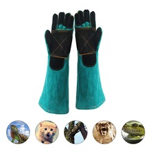 Handsker til kæledyr bidresistente handsker to-lags læderstøttepude hundekat skærebestandigt anti-torn handsker til kæledyr håndtering af kæledyr: 60cm / Grøn