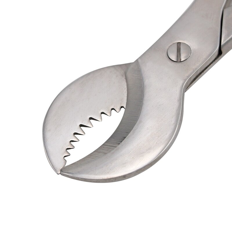 Dental Gips Scharen Scissiors Tandarts Lab Gereedschap Grote Roestvrijstalen Tang Instrument Gips Gips Schaar Materiaal