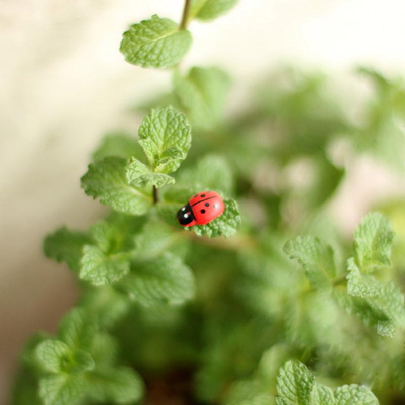 Ornements de jardin bricolage mini coccinelle mousse | 10 pièces, dessin animé tendance, ornements micro paysage, ornements de bricolage