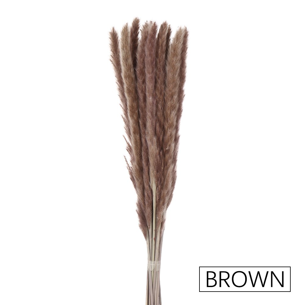 15/25 sztuk trzciny naturalne pszenicy kwiat bukiet suszone Pampas ślubny kwiat bukiet bukiety Bulrush dla Home Decor materiały ślubne: brown