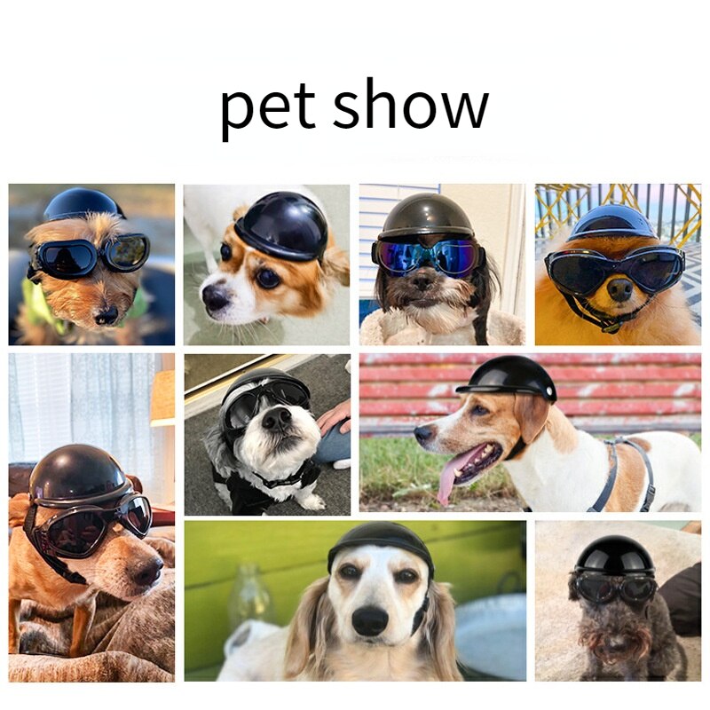 Huisdier Helm Motorhelm Hond Kat Accessoires Huisdier Speelgoed Hoed Hoofddeksel Hond Speelgoed Outdoor Beschermende Helm