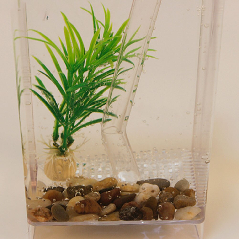 Desktop sjovt sæt økologisk akvarie akvarium selvrensende akvatiske kæledyrsartikler boligindretning guldfisk tank mini græs