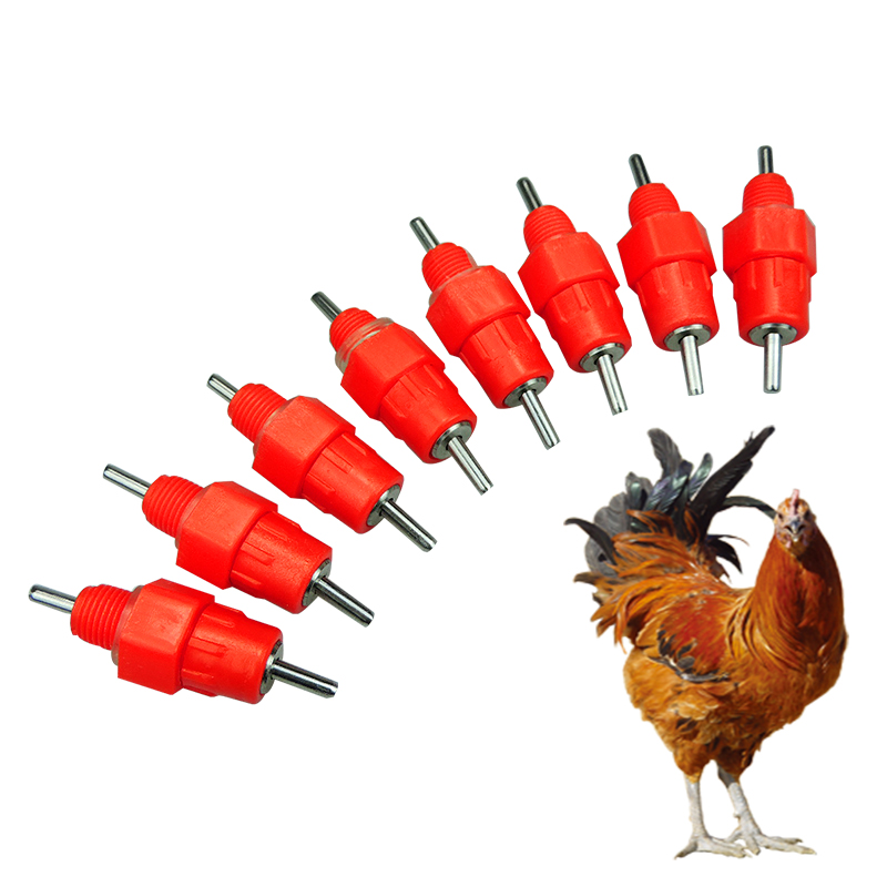 100 stuks pluimvee, kippen, drinknippels, automatische waterbakken, voerballen, schroefnippels voor kippenboerderijen