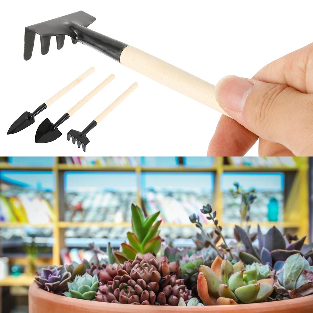 21pcs Succulents Transplanting Tools Flower Seedlings Planted Hand Tool Kit Plant Sowing DIY Accessories Gardening Supplies