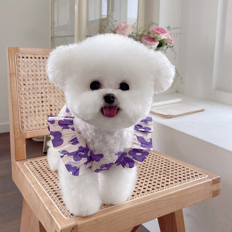 Letnia sukienka dla psa kot sukienki dla szczeniąt Chihuahua pomorskie Shih Tzu maltese Yorkshire pudel Bichon odzież dla małych psów spódnica
