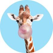 Support de téléphone portable rond et coloré, pivotant et extensible, idéal pour la poche ou le bureau: Modèle 2