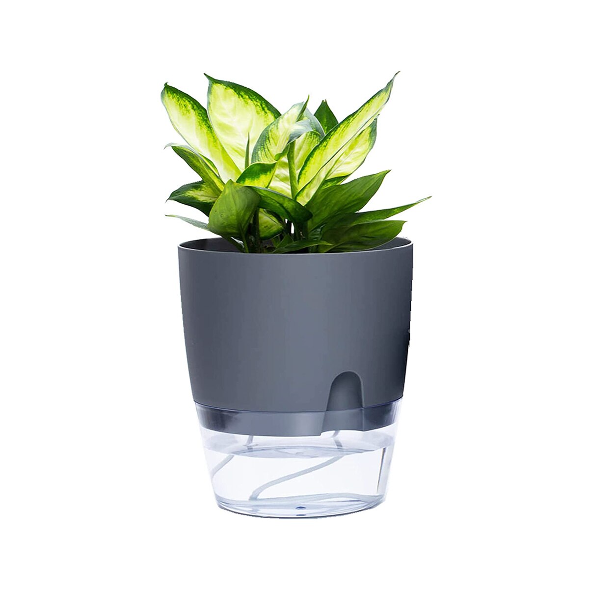 2 Layer Watering Planter Lazy Self Watering Pot Automatic Succulent Container for Flower Plant Indoor Supplies White Gray: gray 15.3cm