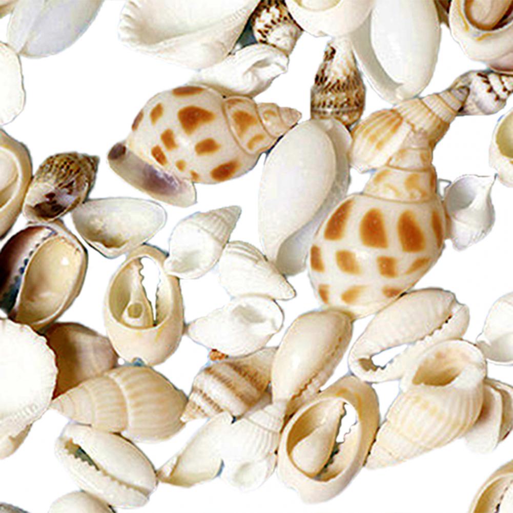1 Bag Artifical Sea Shell Conch Coquillage Beach Decor Craft DIY Marine Style Fish Tank Seashells Cream Glue Epoxy Accessories