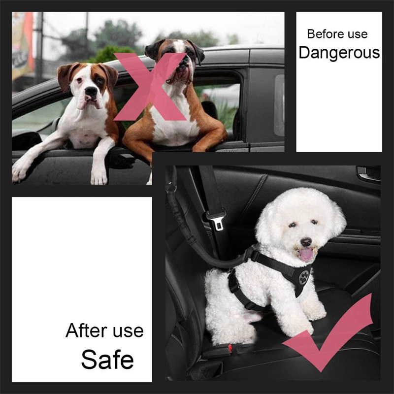 Huisdier Autogordel Restraint Verstelbare Puppy Veiligheid Elastische Bungee Sluit Hond Harnas In Voertuig Reizen Hond Reflecterende Leash