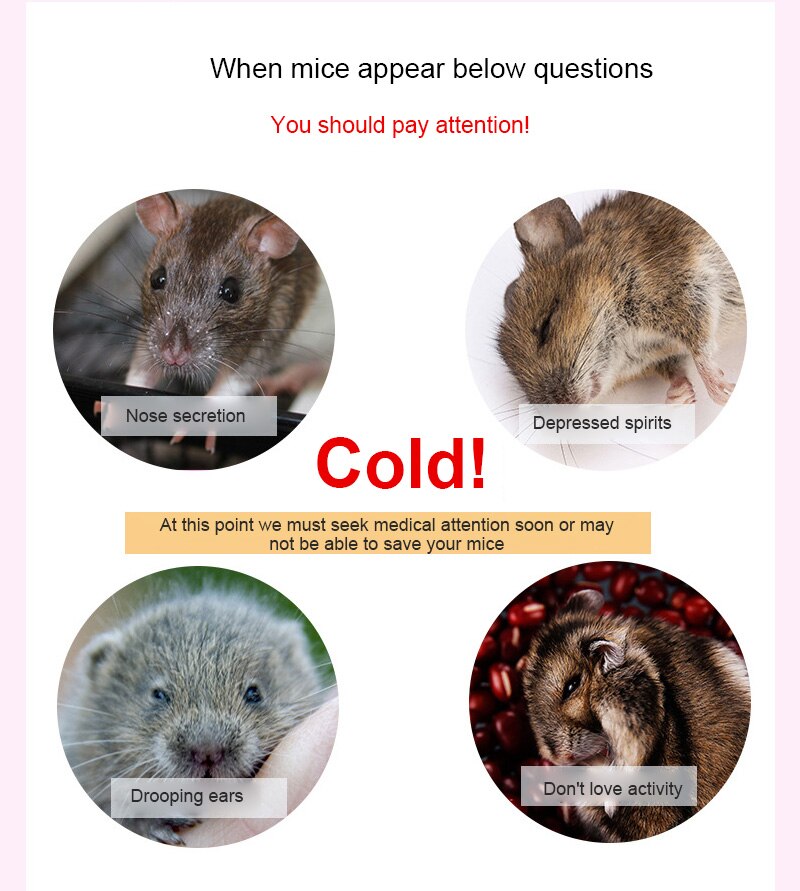 Pallina di cotone calda invernale per piccoli animali domestici palla di cotone per criceti per animali domestici forniture per piccoli animali inverno tenere caldo 100 compresse TSLM1