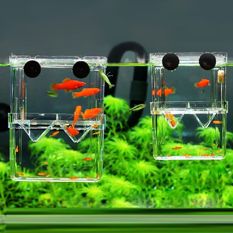 2 Size Acrylic Aquarium Floating Breeding Box Double Layers Fish Tank Aquariums For Guppy Betta Breeding Hatchery Isolation