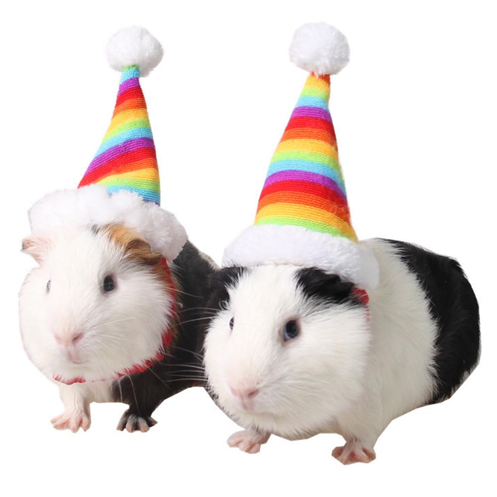 Pet Kat Hond Puppy Dier Kerst Hoed Santa Hoed Pet Konijn Rat Kitten Regenboog Cap Met Elastische Band Kerst Hoed accessoires