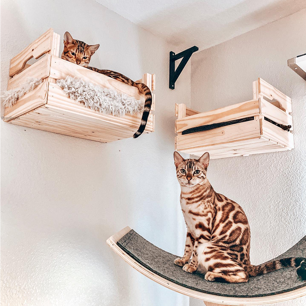 Panier mural en bois pour chat, étagère pour chat, lit de perche, hamac de couchage, grattage d'escalade, meubles muraux modernes pour chats
